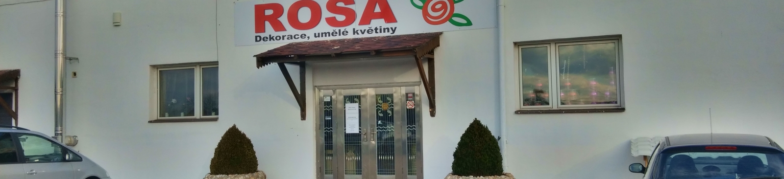 Rosa - dekorace